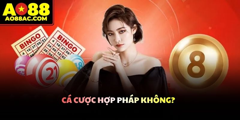 Câu Hỏi Thường Gặp Và Thông Tin Giải Đáp Chuẩn Nhất 2026 - ZEJOPA
