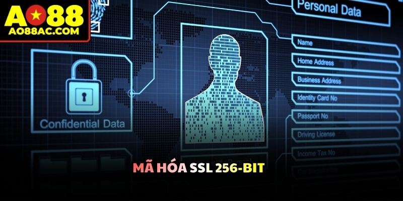 Chính Sách Bảo Mật Thiết Lập An Toàn Tuyệt Đối Cho Newbie - ZEJOPA