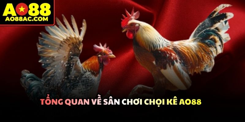 Đá Gà AO88 - Trải Nghiệm Trực Tuyến Kịch Tính Nhất 2026 - ZEJOPA