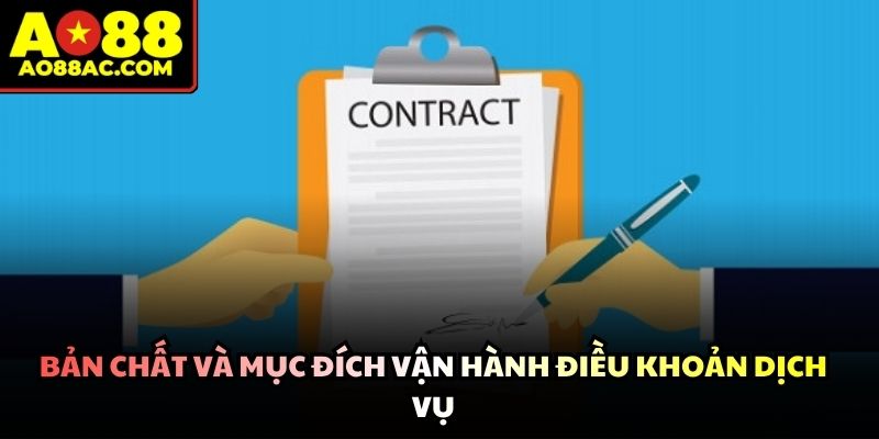 Điều Khoản Dịch Vụ Chi Tiết Cho Người Mới Tham Gia 2026 - ZEJOPA