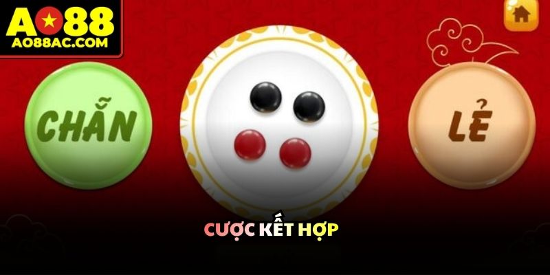 Xóc Đĩa Online Đổi Thưởng Trực Tuyến Siêu Hot Cho Tân Binh - ZEJOPA
