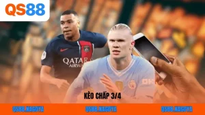 Thể Thao QS88 - Sảnh Sảnh Cá Cược Đẳng Cấp Cho Hội Viên - ZEJOPA