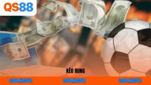 Thể Thao QS88 - Sảnh Sảnh Cá Cược Đẳng Cấp Cho Hội Viên - ZEJOPA