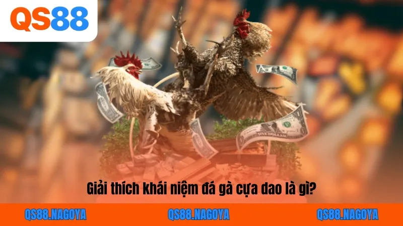 Đá Gà Cựa Dao - Nắm Bắt Quy Tắc Cơ Bản Khi Giải Trí Tại QS88 - ZEJOPA