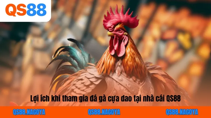 Đá Gà Cựa Dao - Nắm Bắt Quy Tắc Cơ Bản Khi Giải Trí Tại QS88 - ZEJOPA