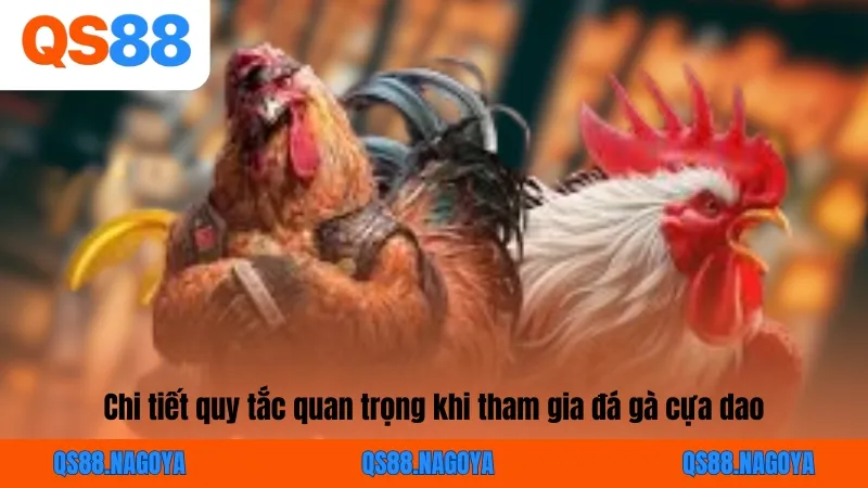Đá Gà Cựa Dao - Nắm Bắt Quy Tắc Cơ Bản Khi Giải Trí Tại QS88 - ZEJOPA