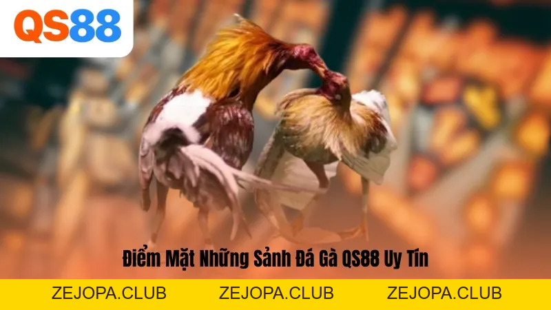 Đá Gà QS88 – Sân Chơi Kịch Tính, Uy Tín Số 1 Châu Á Hiện Nay - ZEJOPA