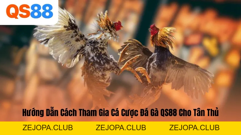 Đá Gà QS88 – Sân Chơi Kịch Tính, Uy Tín Số 1 Châu Á Hiện Nay - ZEJOPA