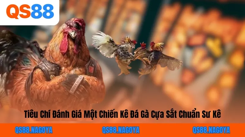 Đá Gà Cựa Sắt: Mãn Nhãn Các Màn Giao Đấu Của Chiến Kê QS88 - ZEJOPA